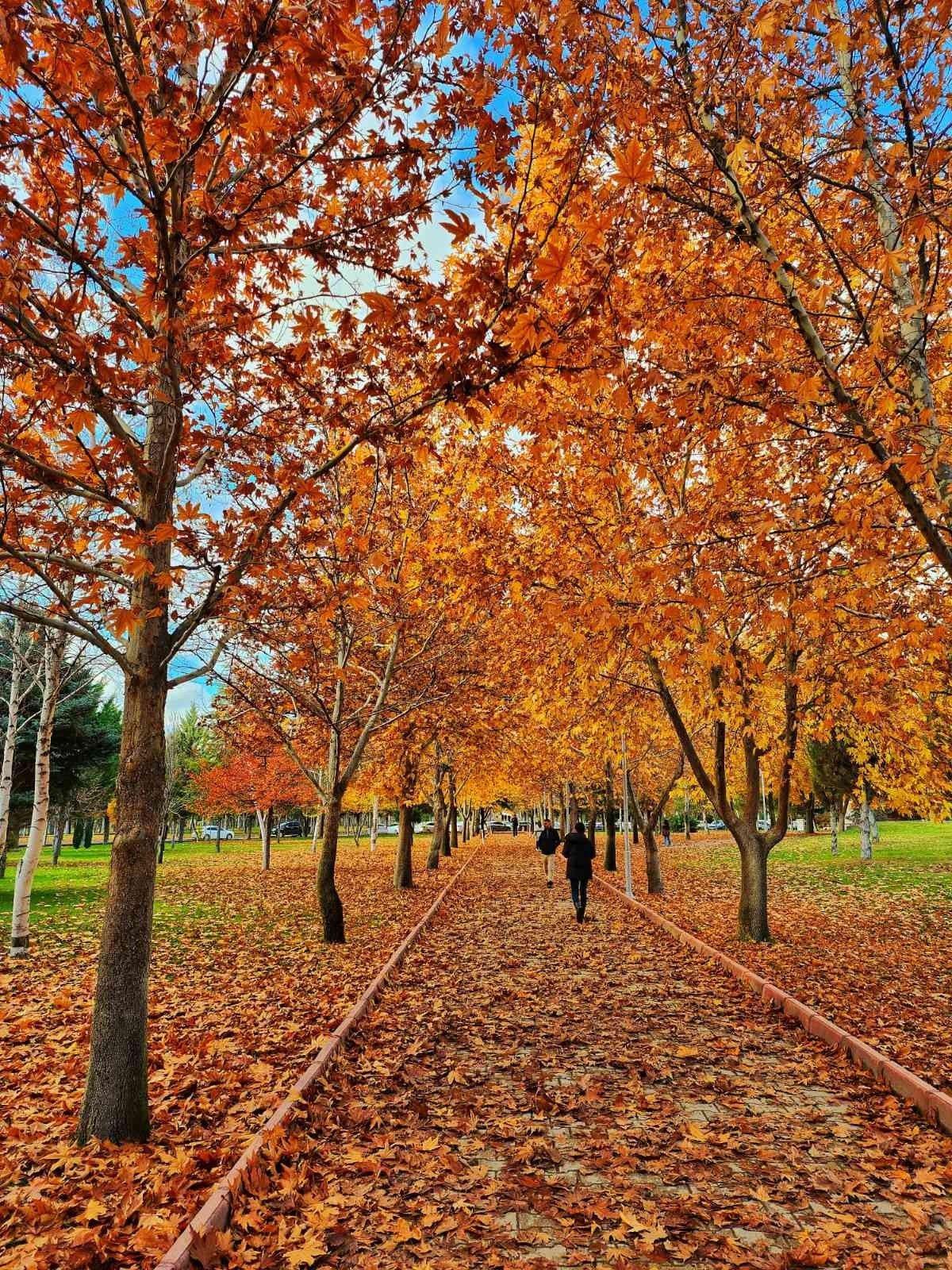 Kampüste sonbahar güzelliği