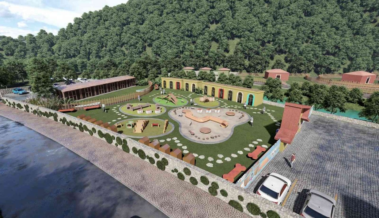 Başıboş hayvanlar için barınak projesi hazır