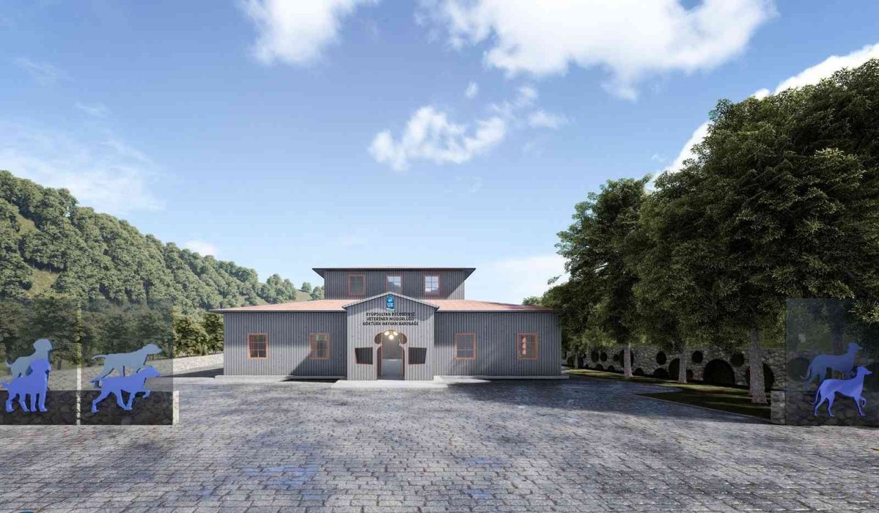 Başıboş hayvanlar için barınak projesi hazır