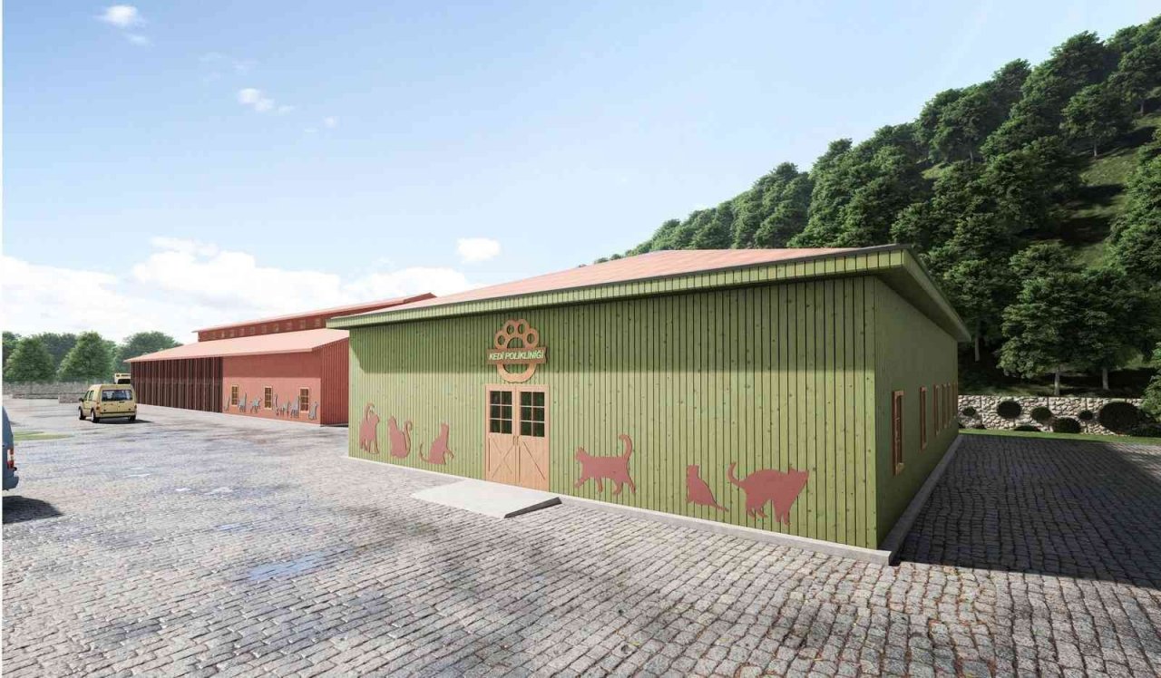 Başıboş hayvanlar için barınak projesi hazır