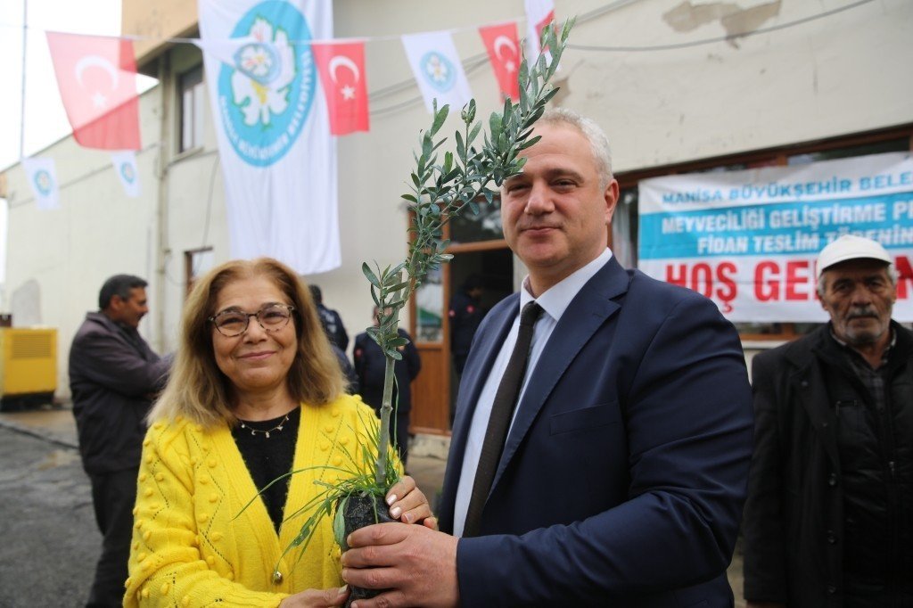 Salihli’de 6 bin 480 zeytin fidanı üreticilere teslim edildi