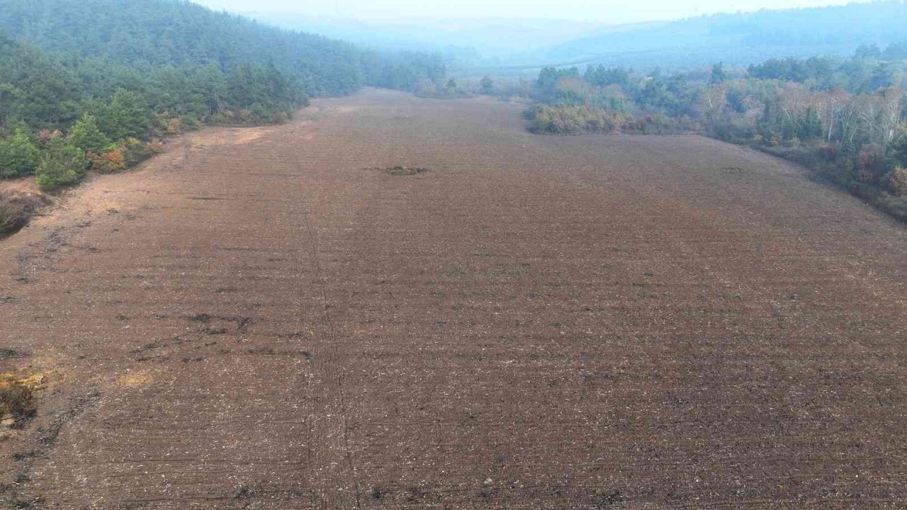 Mudanya Belediyesi buğday tohumlarını toprakla buluşturdu