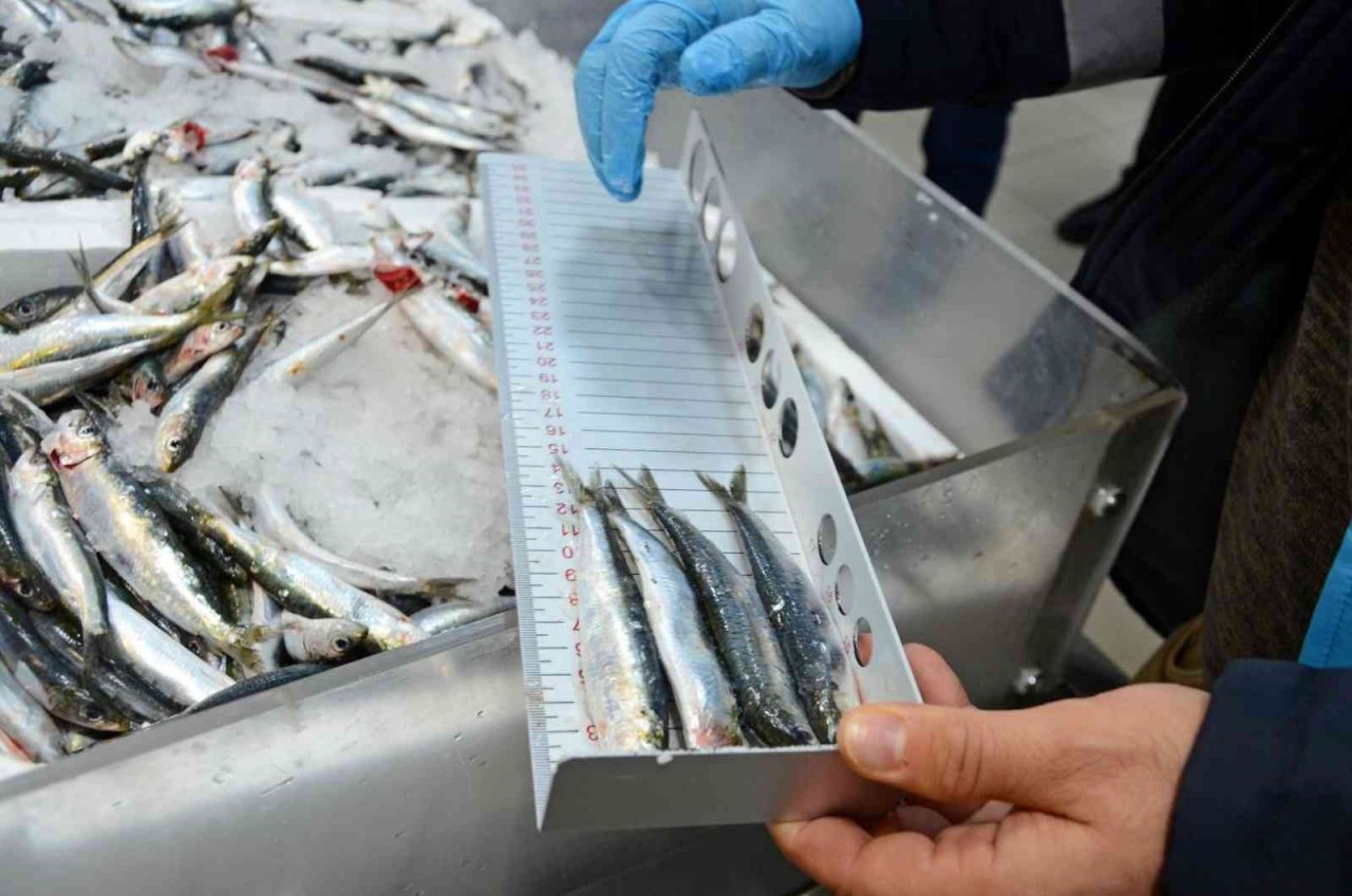 Denizli’de su ürünleri denetimleri gerçekleştirildi