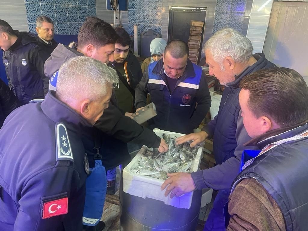 Balık satış yerlerine denetim yapıldı