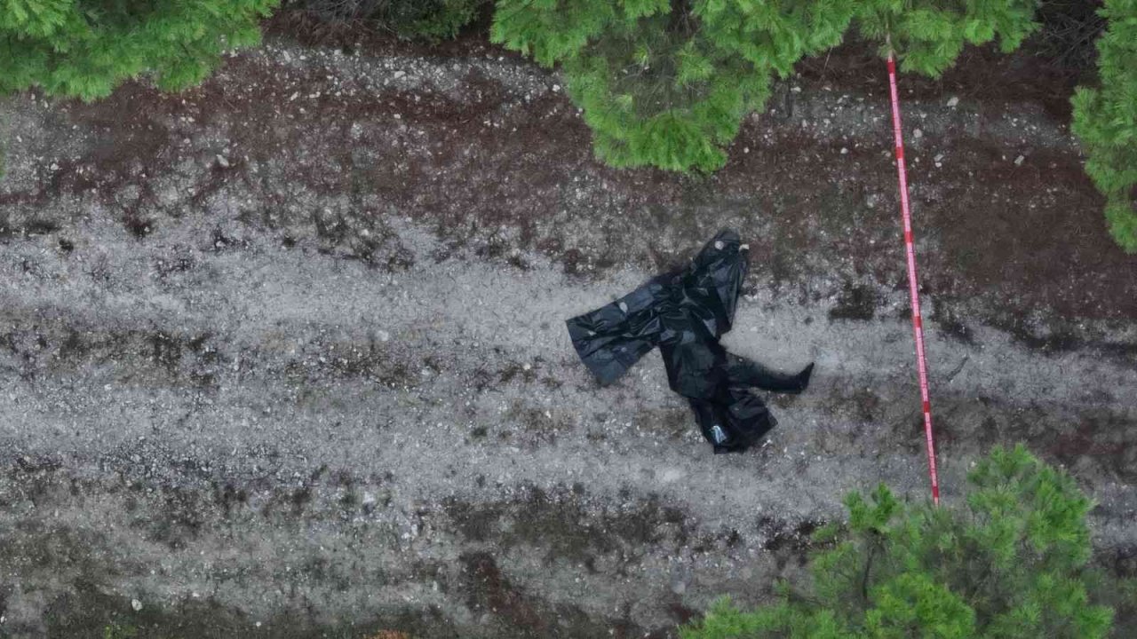 Düşen uçakta hayatını kaybedenlerin kimlikleri belli oldu