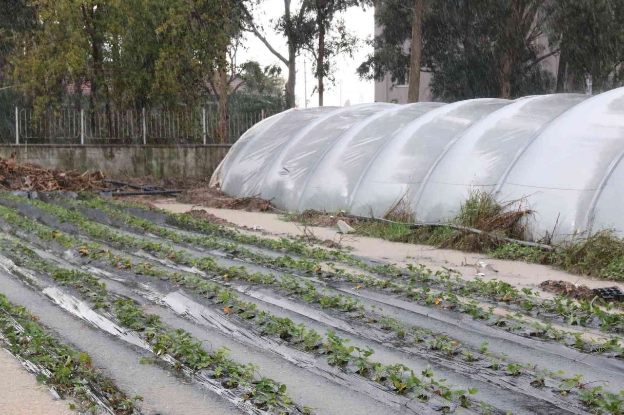 Antalya’da 1 saat etkili olan sağanak yağışta çilek seraları sular içinde kaldı