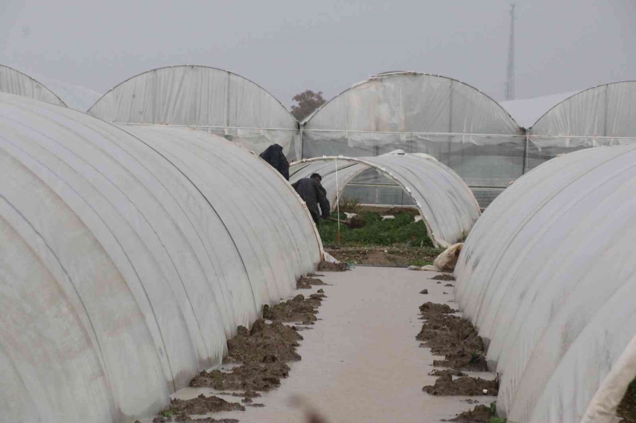 Antalya’da 1 saat etkili olan sağanak yağışta çilek seraları sular içinde kaldı