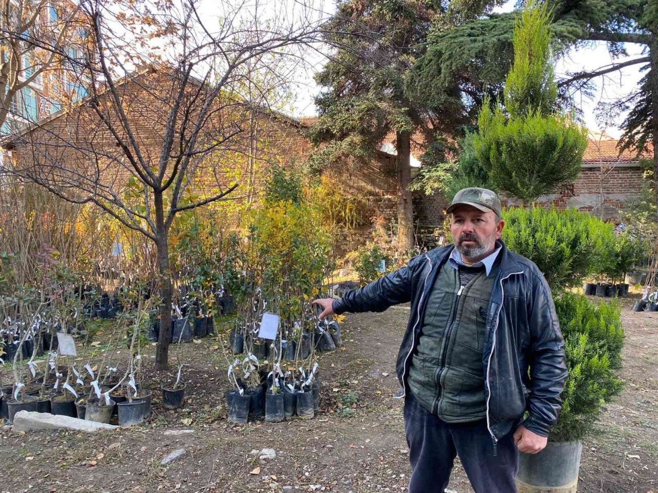 Soğuk havada revaçta olan fidanlar