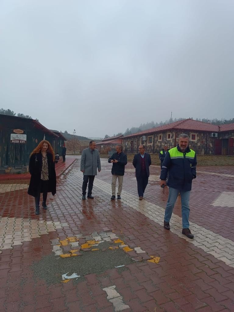 Avukatlar hayvan barınağında