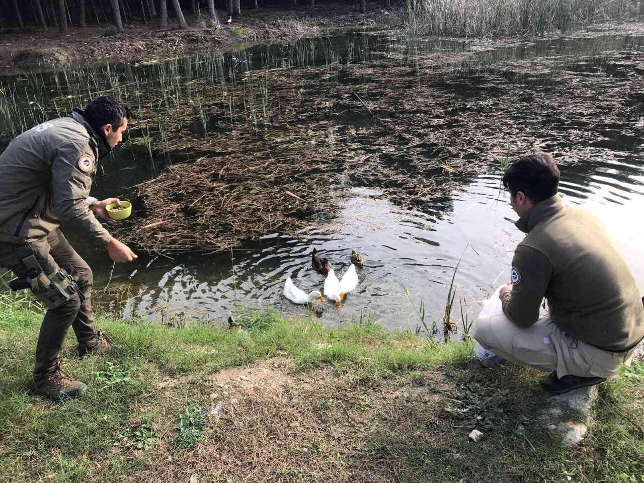 Mersin polisi soğuk kış günlerinde yaban hayvanlarını unutmuyor