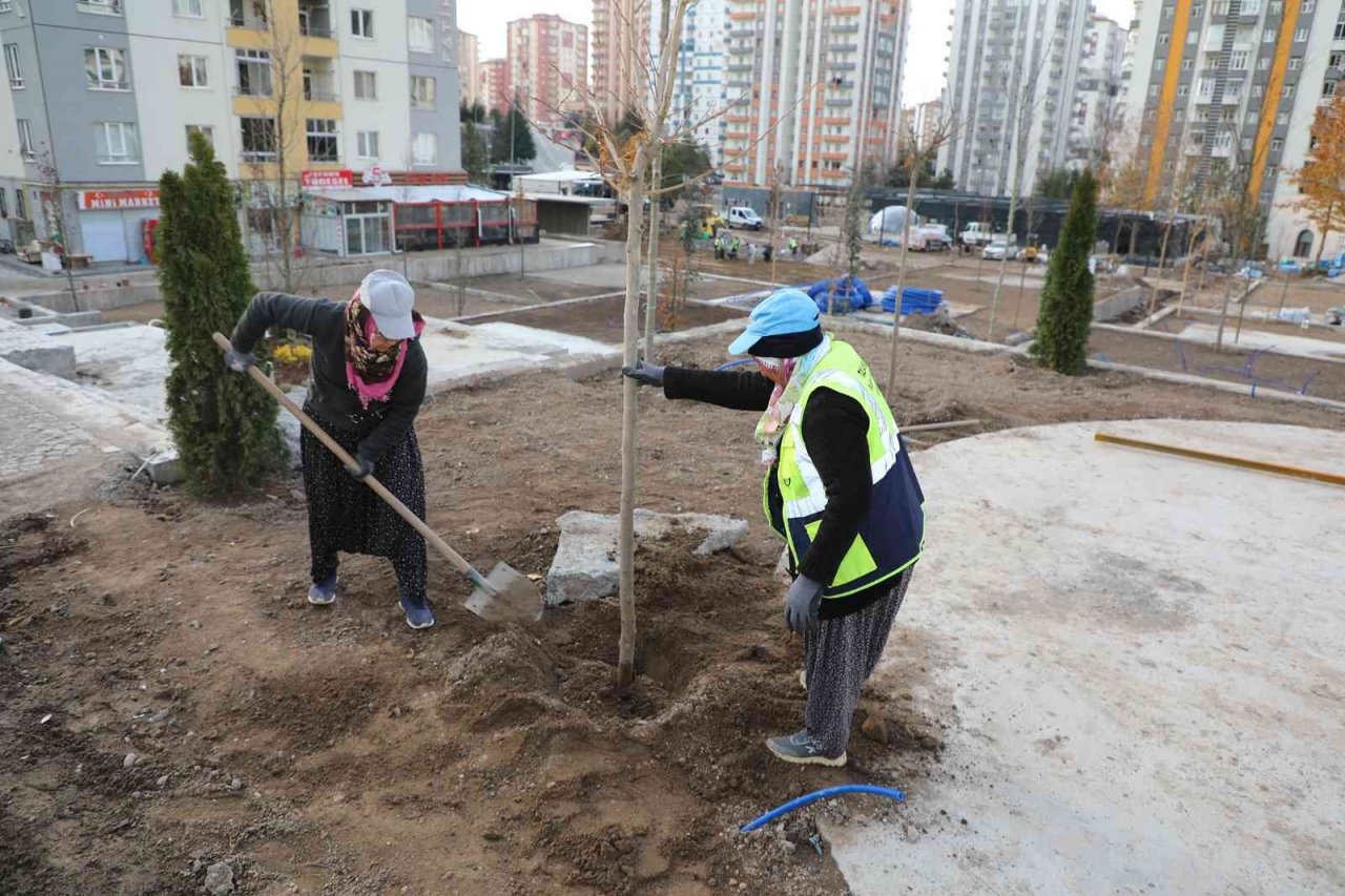 Mevlana Meydanı Ağaçlandırılıyor