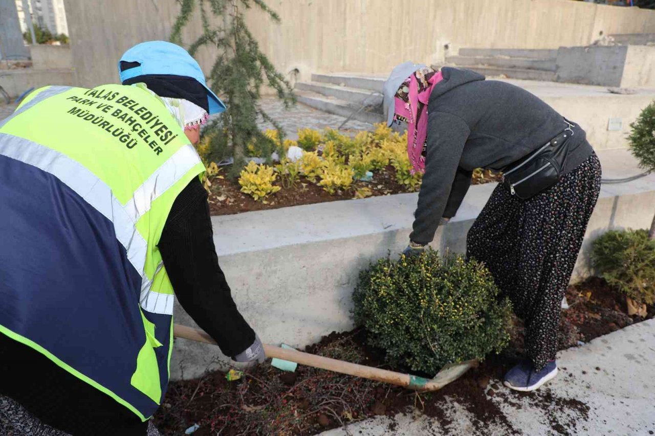 Mevlana Meydanı Ağaçlandırılıyor