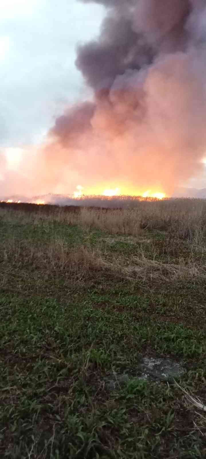 Eber gölünde yangınların ardı arkası kesilmiyor
