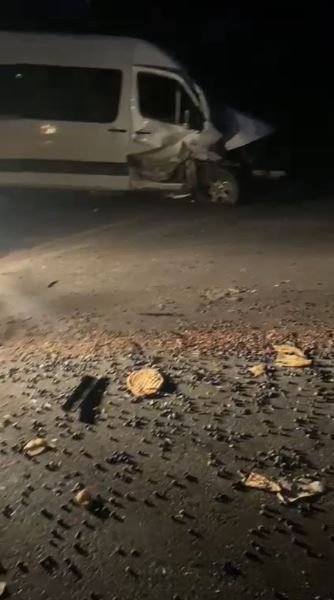 Arızalanan kamyonetine bakarken minibüsün çarptığı adam hayatını kaybetti