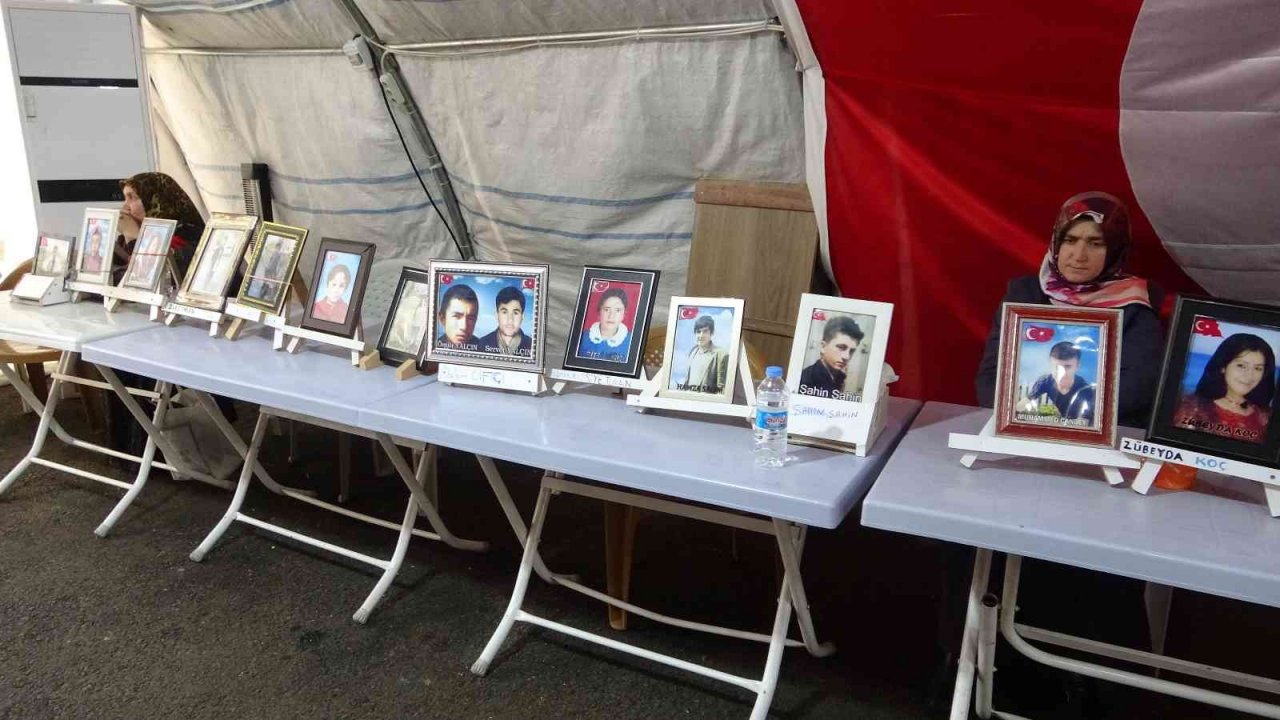 Terör örgütü PKK 4 torununu yetim bıraktı, amcalarını da kaçırdılar