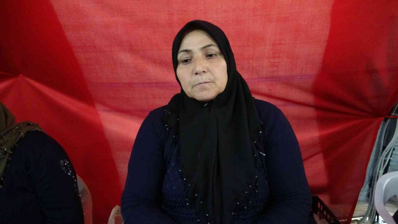 Terör örgütü PKK 4 torununu yetim bıraktı, amcalarını da kaçırdılar