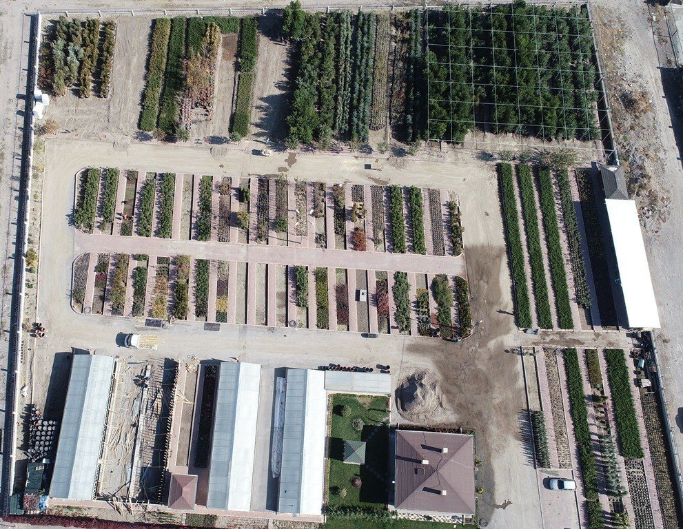 Kocasinan’da herkesin dikili bir ağacı olacak