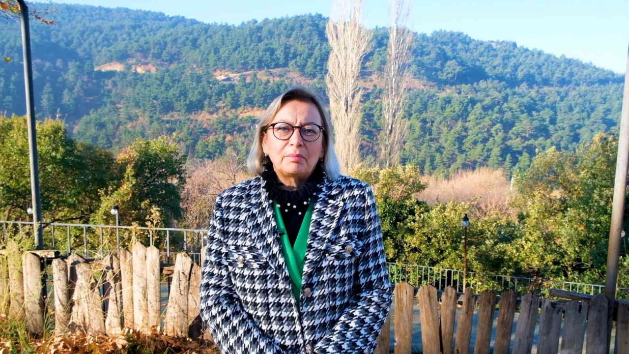 İMO’dan Uludağ Alan Başkanlığı kurulmasına tepki