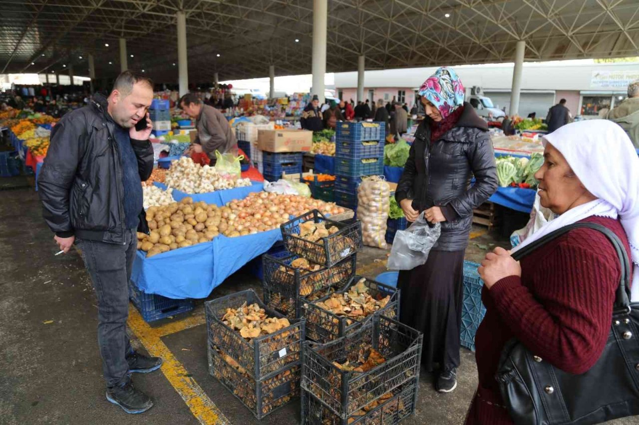 Dağdan toplanan çıntar, tezgahlara indi