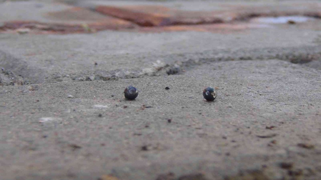 Ablasını sokak ortasında tüfekle vurarak öldürdü