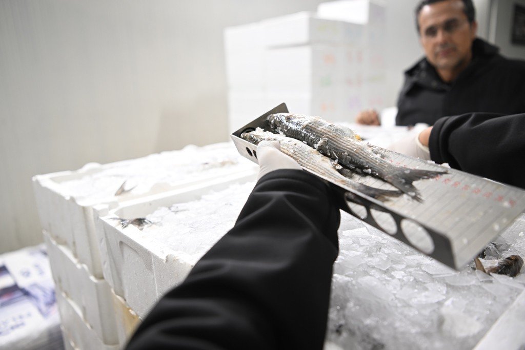 Kayseri’de balıkçılara denetim