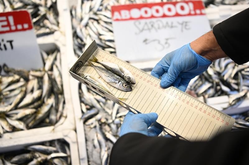 Kayseri’de balıkçılara denetim