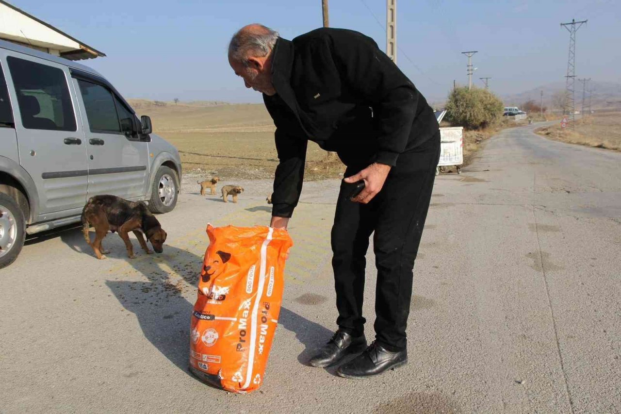 Sokak hayvanları için doğaya yem bıraktılar