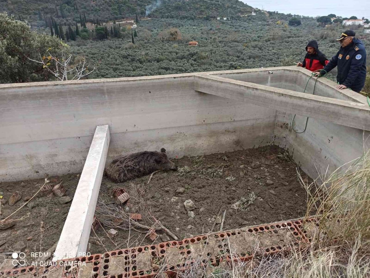 Sulama havuzuna düşen hayvan kurtarıldı