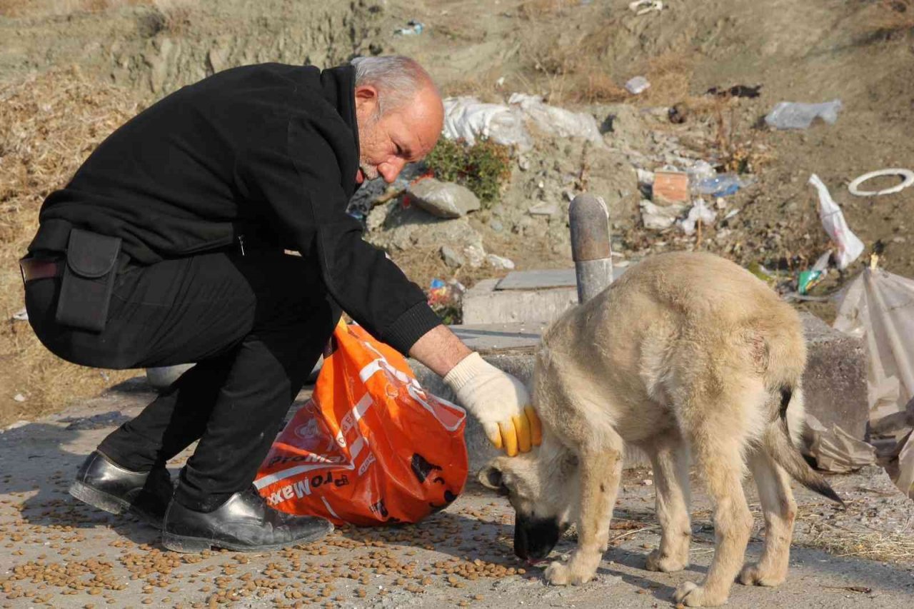 Sokak hayvanları için doğaya yem bıraktılar