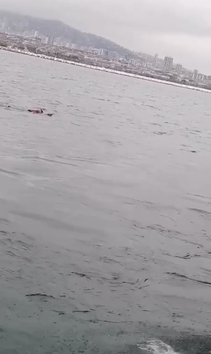 Vapurdan denize yolcu düştü, korku dolu anlar kameraya yansıdı