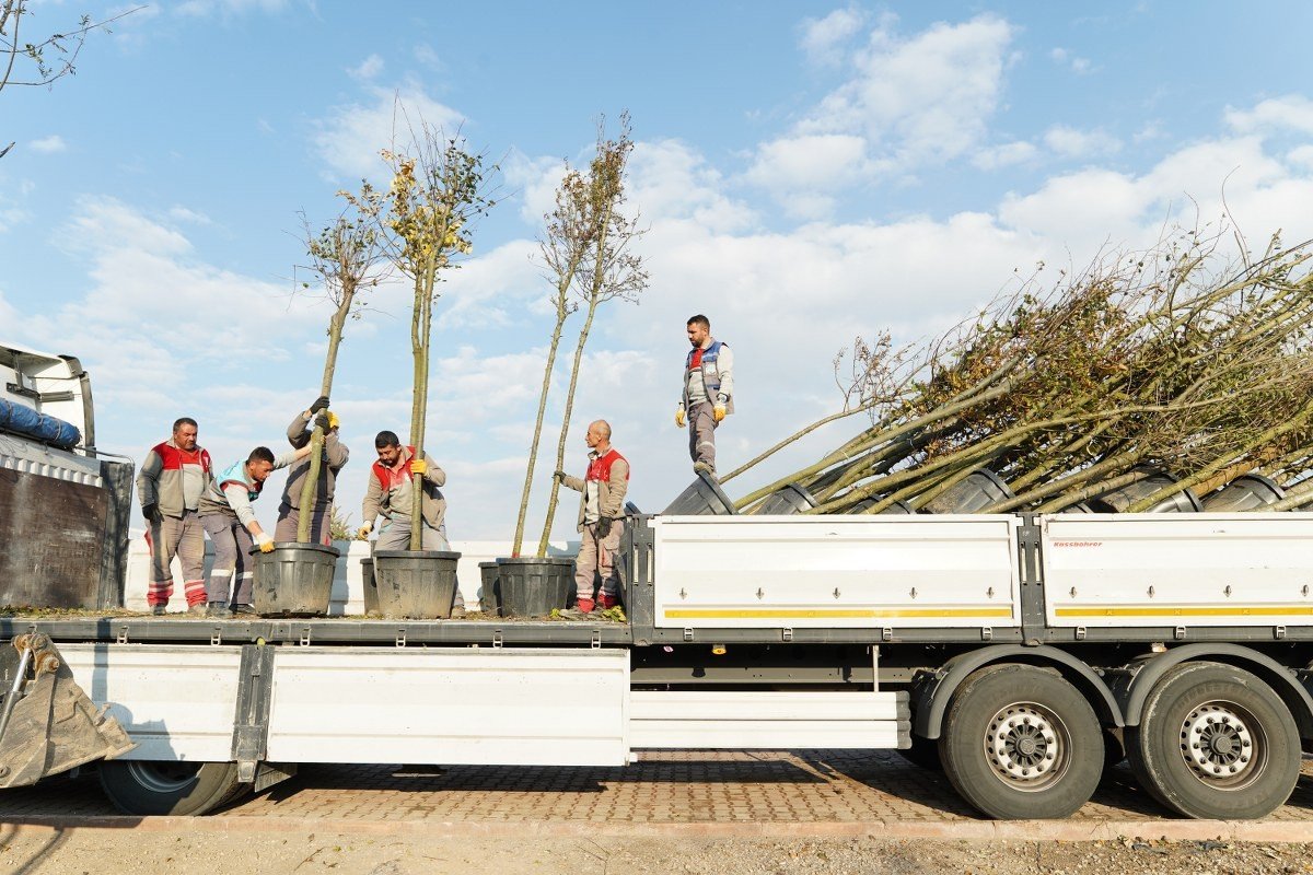 Melikgazi Belediyesi İlçeyi Ağaçlandırmada Zamandan Kazanıyor
