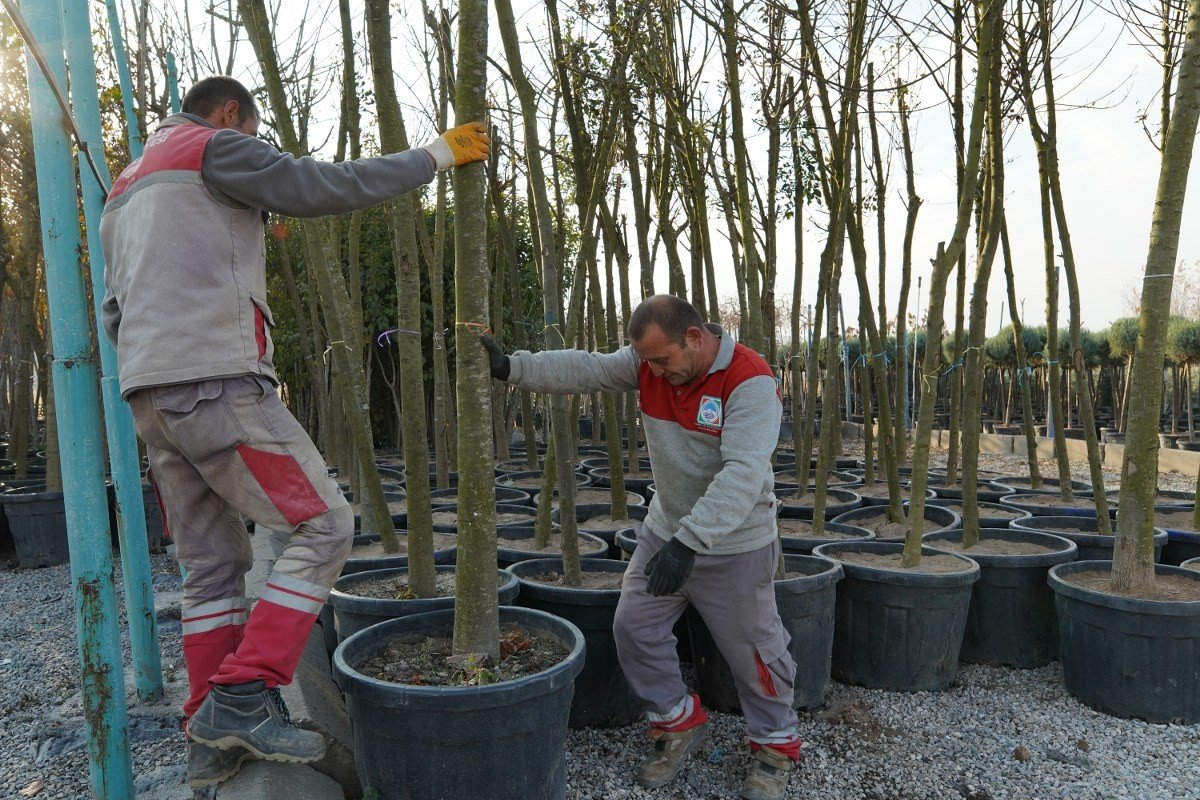 Melikgazi Belediyesi İlçeyi Ağaçlandırmada Zamandan Kazanıyor