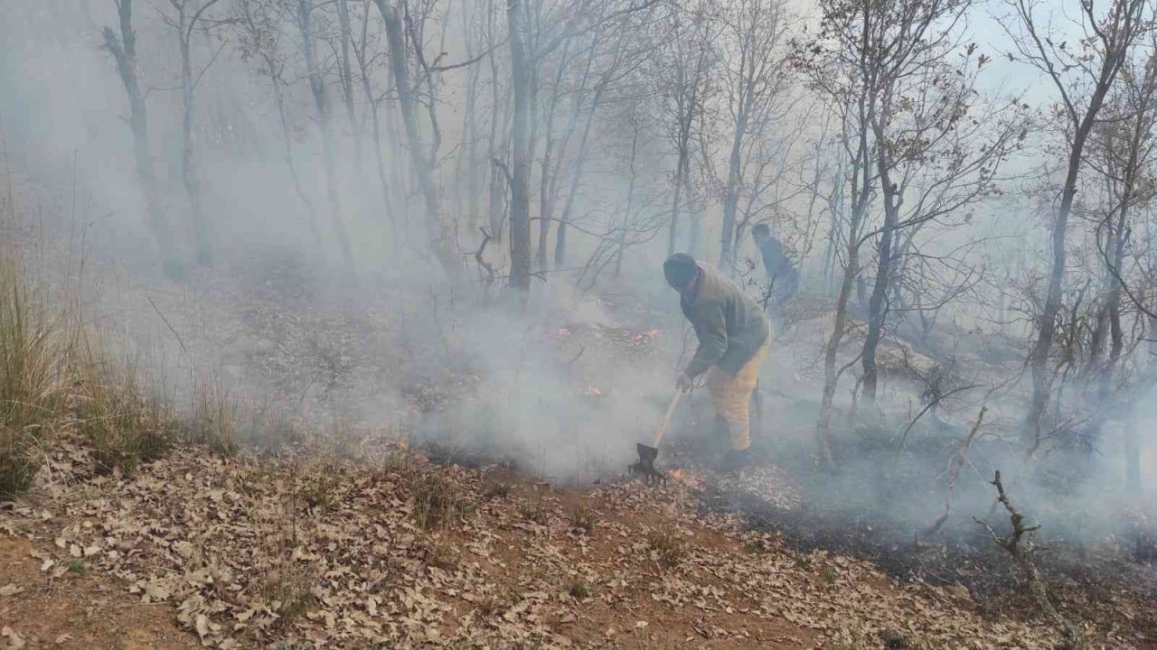 Osmaniye’de 1 dönümlük meşelik alan yandı