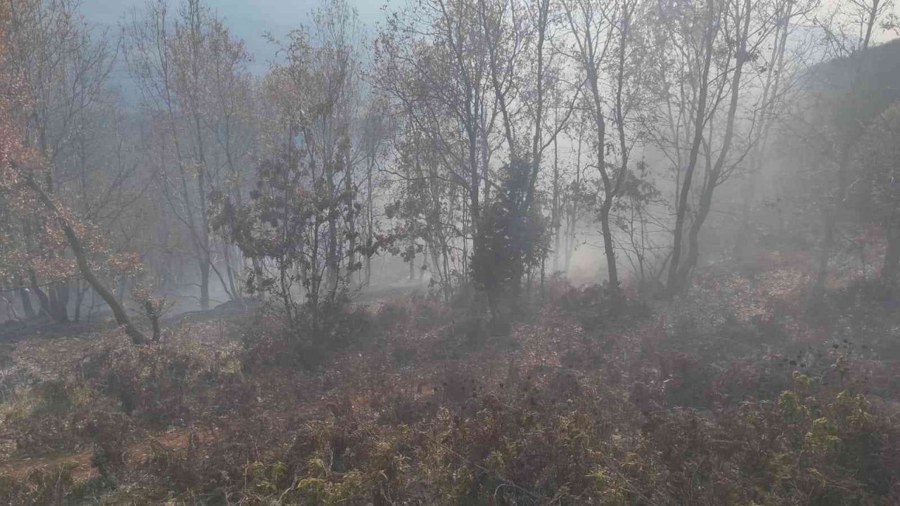 Osmaniye’de 1 dönümlük meşelik alan yandı