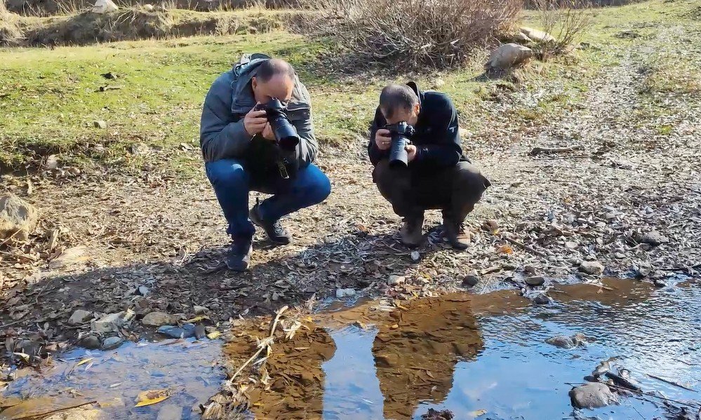 Bitlis’te Anadolu benekli semenderi ailesi görüntülendi