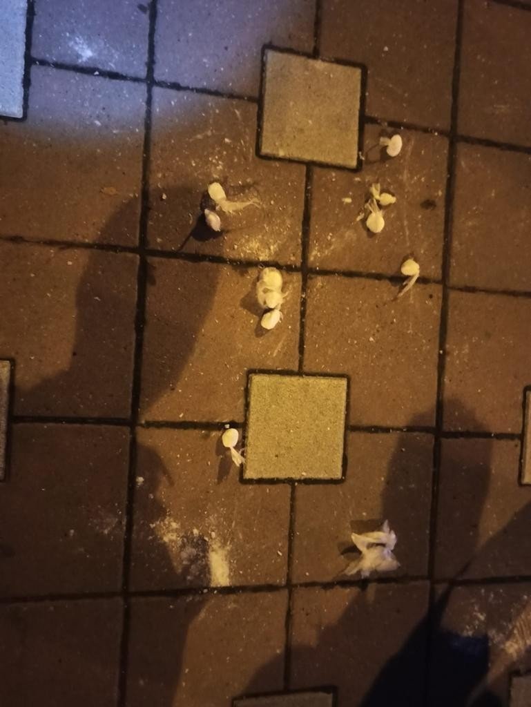 Polisten kaçan şüpheliler 4 otomobile çarparak durabildi