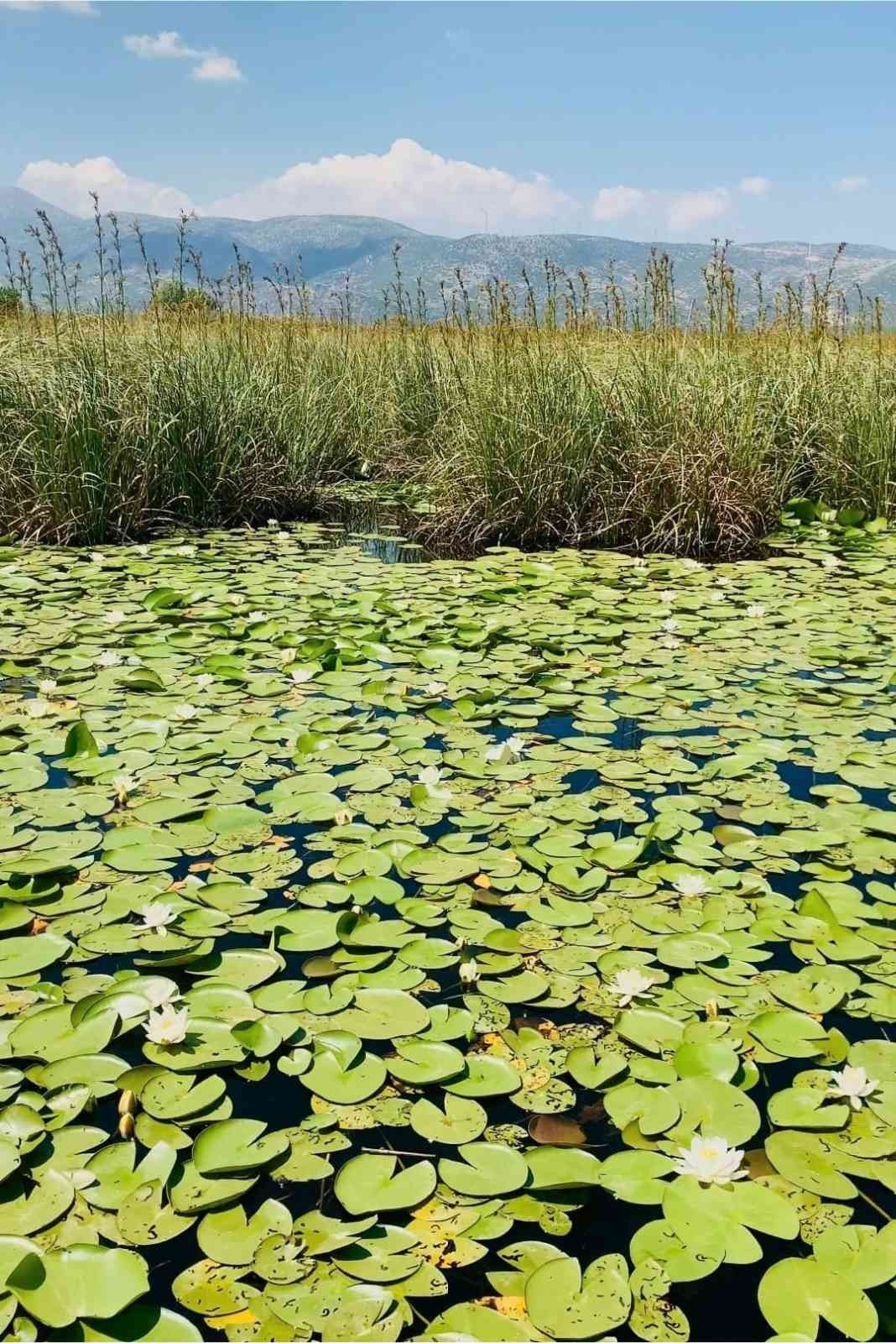 Karakuyu Gölü spor ve turizme kazandırılacak
