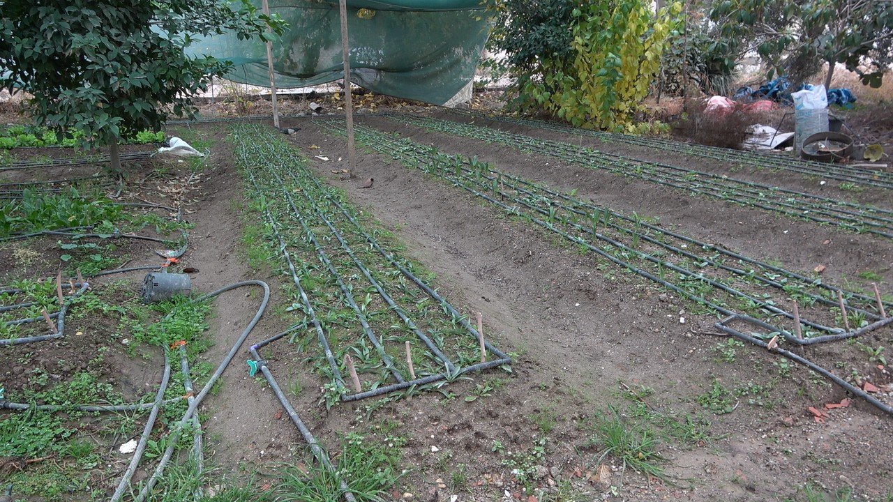 Şifa dolusu salep, kış aylarının vazgeçilmezi oldu