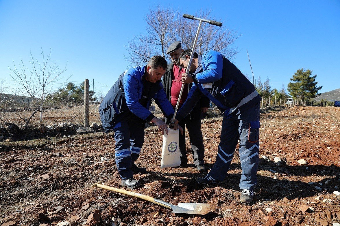 Büyükşehir Tarım Laboratuvarı 43 il, 2 ülkenin numunelerini analiz etti