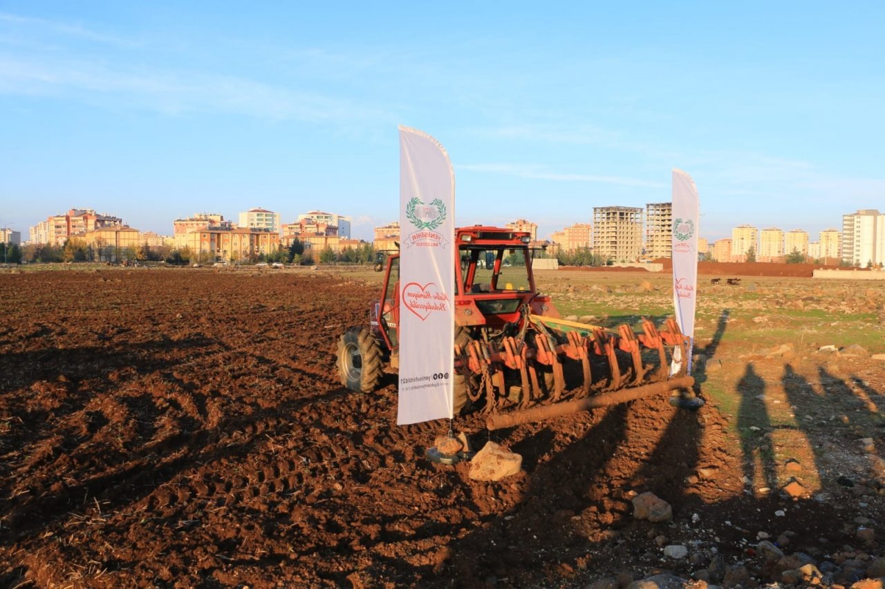 Yenişehir Belediyesi atıl araziyi değerlendirerek mercimek ekti
