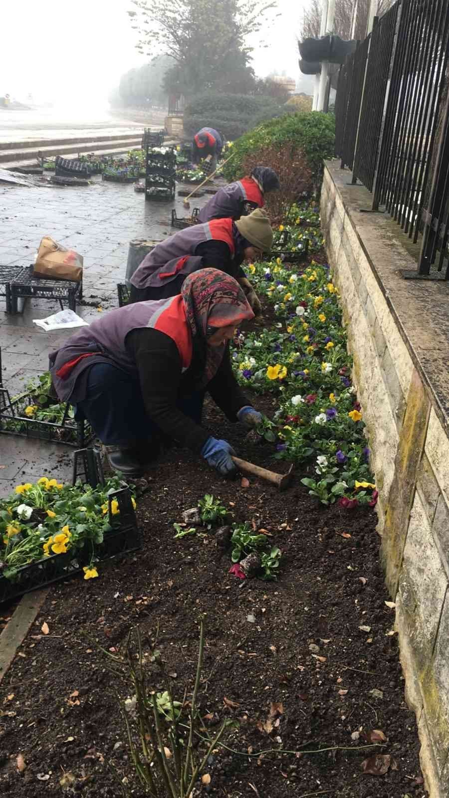 Düzce çiçeklerle güzelleşiyor