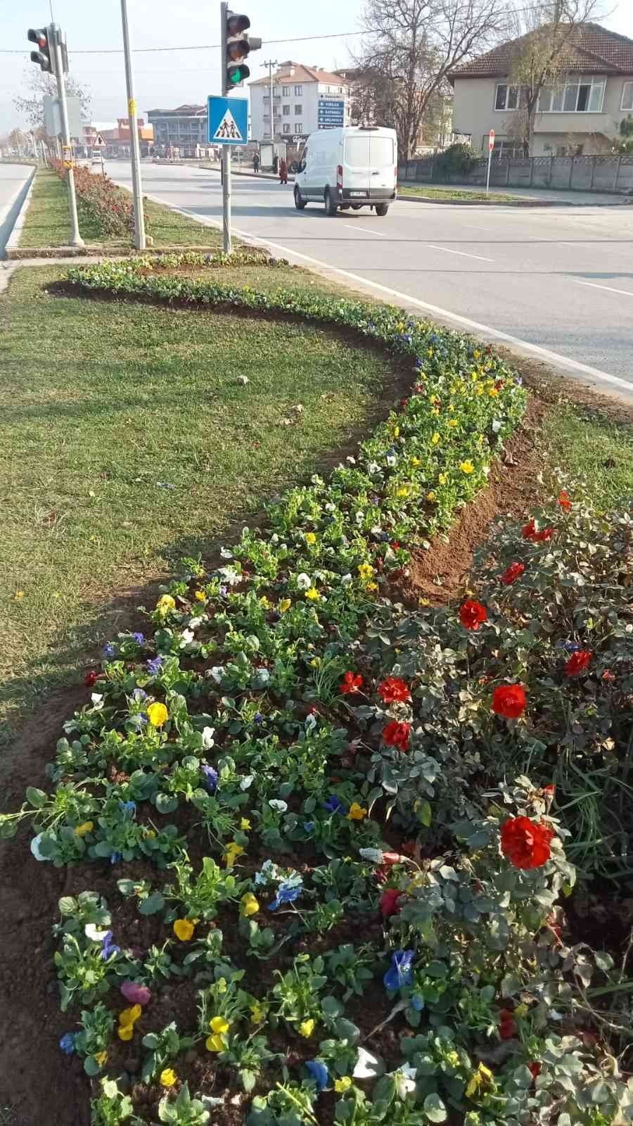 Düzce çiçeklerle güzelleşiyor