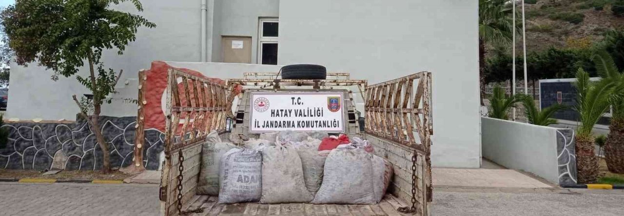 Hatay’da 2 ton zeytin çalan 3 şüpheli tutuklandı