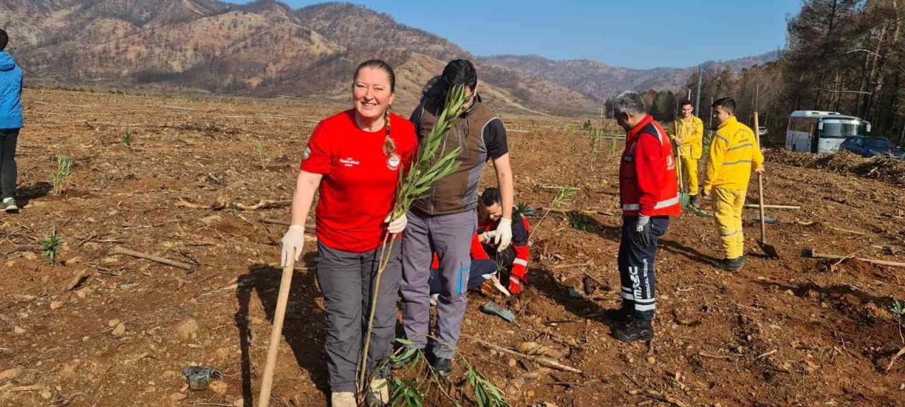 Marmaris’te sağlık çalışanları bin 120 fidanı toprakla buluşturdu