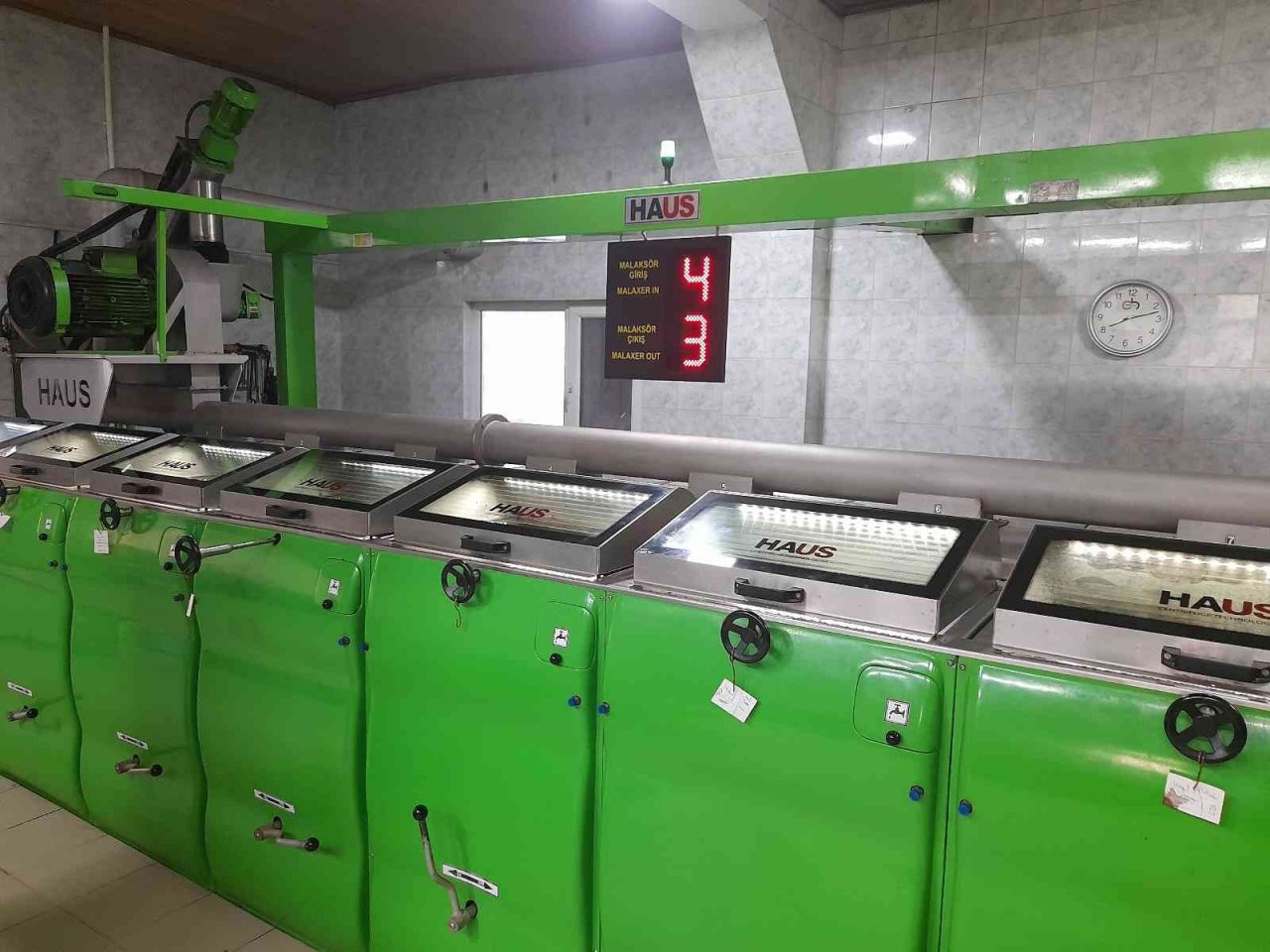 Zeytinyağı üretiminde rekor bekleniyor