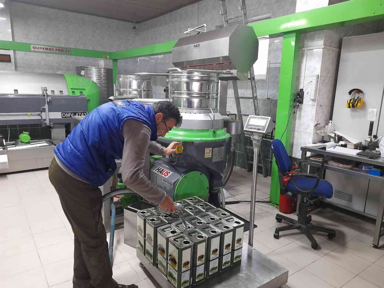 Zeytinyağı üretiminde rekor bekleniyor