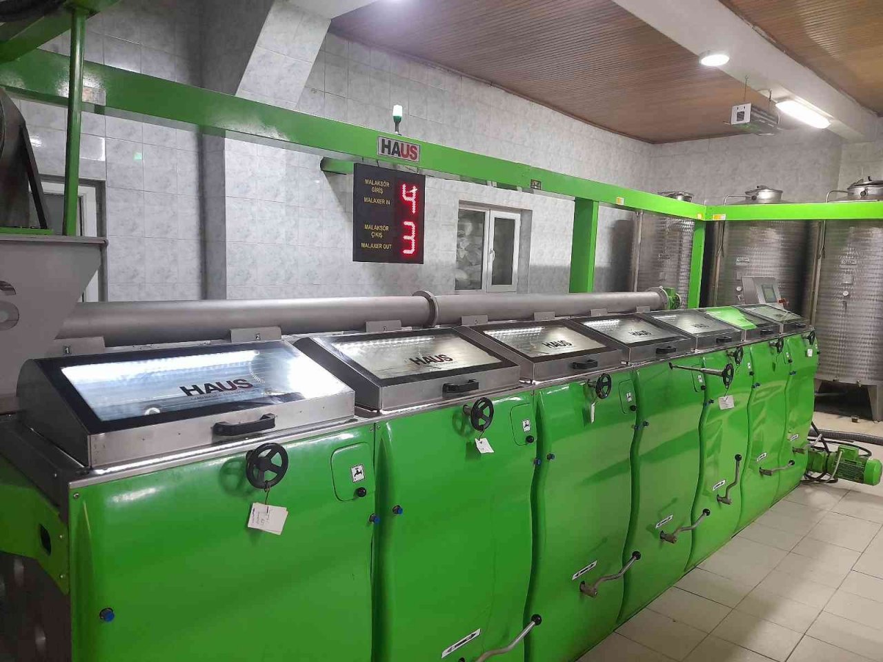 Zeytinyağı üretiminde rekor bekleniyor