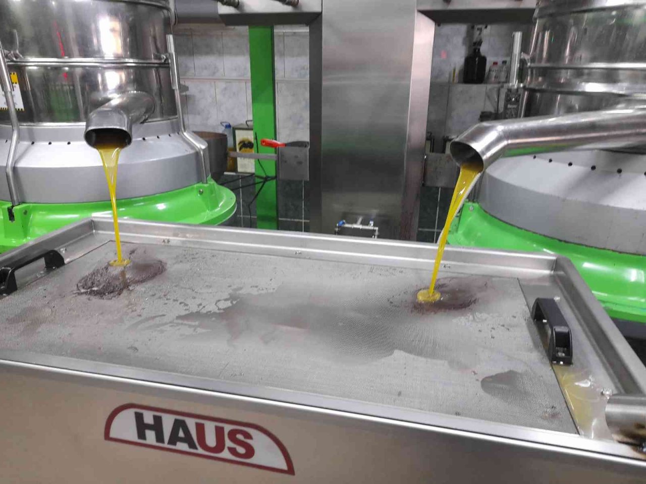 Zeytinyağı üretiminde rekor bekleniyor