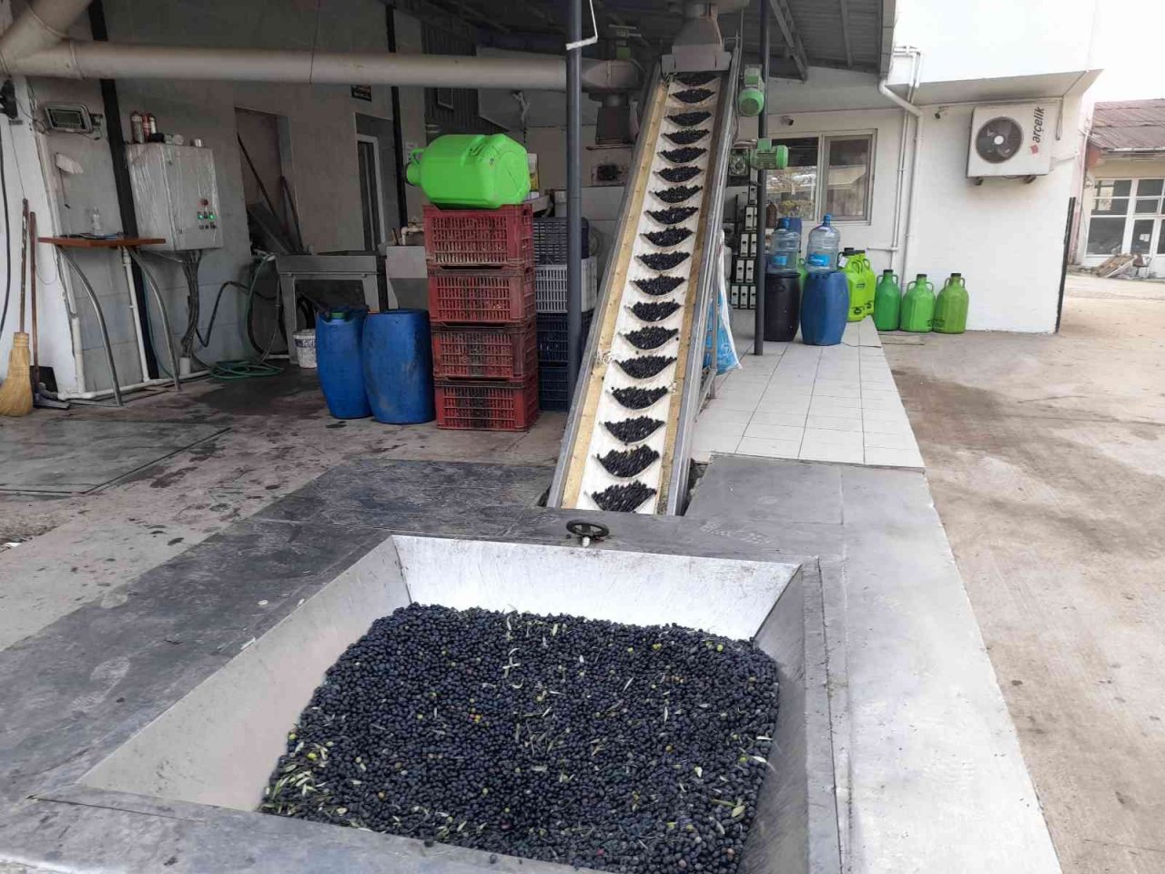 Zeytinyağı üretiminde rekor bekleniyor