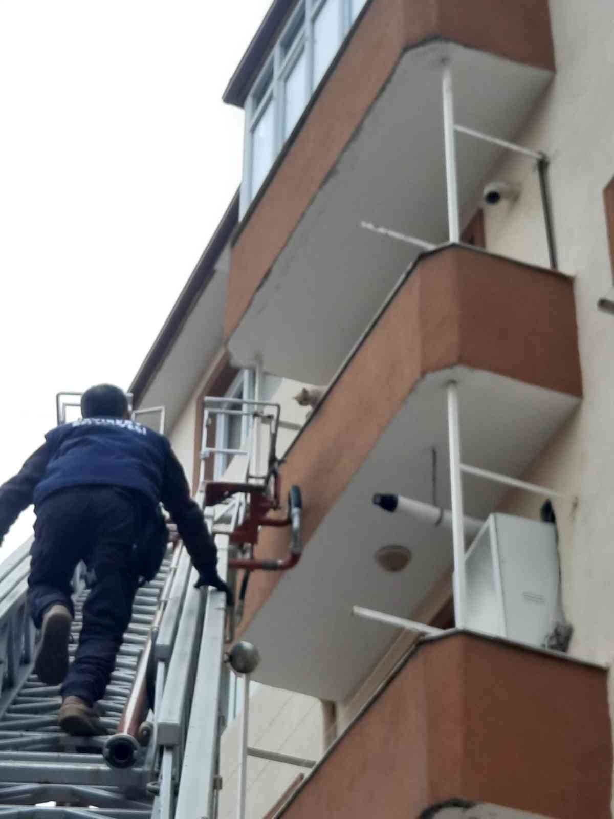 Balkonda mahsur kalan kediyi itfaiye ekipleri kurtardı